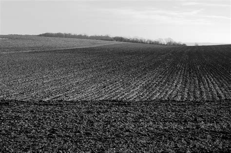 L1007007_v1 | Contour ploughing or contour farming is the fa… | Flickr