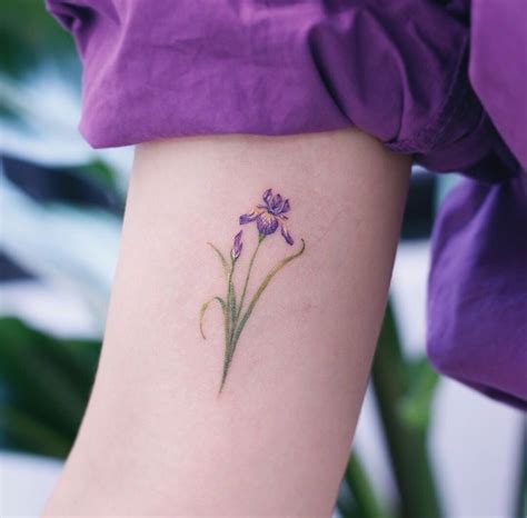 Pin by Chlowithtwodots on Tattoo ideas | Iris tattoo, Violet flower tattoos, Iris flower tattoo