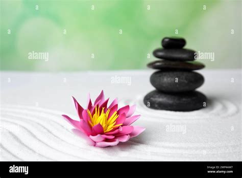 Zen garden. Beautiful lotus flower and stones on white sand Stock Photo ...