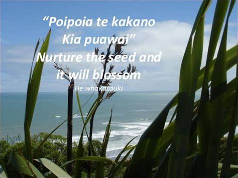 children's whakatauki - Google Search | Maori words, Learning stories ...