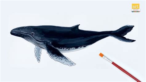 How To Draw A Realistic Whale