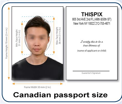 Canadian Passport Photos - ThisPix Passport Photo & Professional Headshot Studio