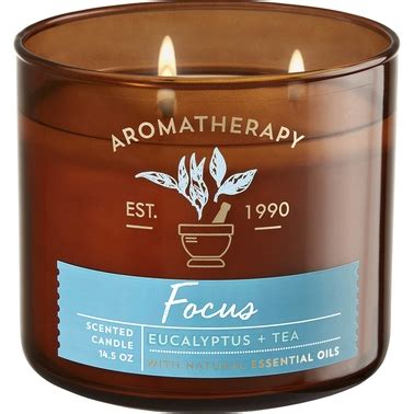 Bath & Body Works Aromatherapy Stress Relief Eucalyptus And Tea 3 Wick ...