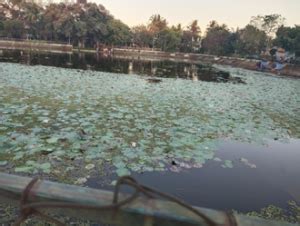 “Pallikaranai Thamarai Kulam” – Lakes of India