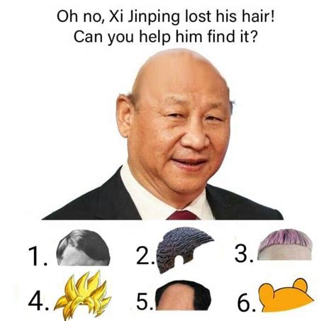 Oh no, Xi Jinping lost his hair! Can you help him find it? | Xi Jinping Winnie the Pooh ...