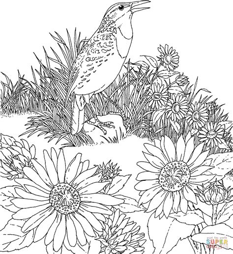 Kansas State Coloring Pages