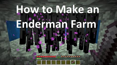 How to Make an Enderman Farm - YouTube