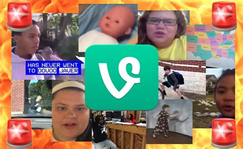 Vine compilation – Telegraph