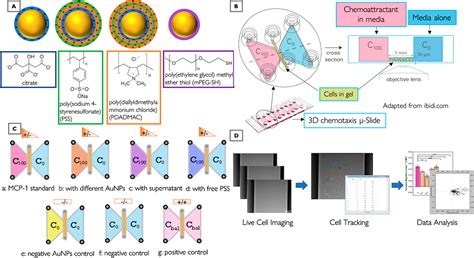 Human Mcp 1 Elisa Kit | Abcam | Bioz