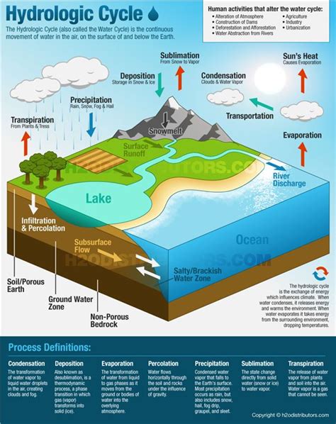 Labeled Diagram Of Water Cycle