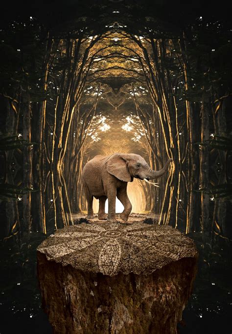 Elephant Art Iphone Wallpaper