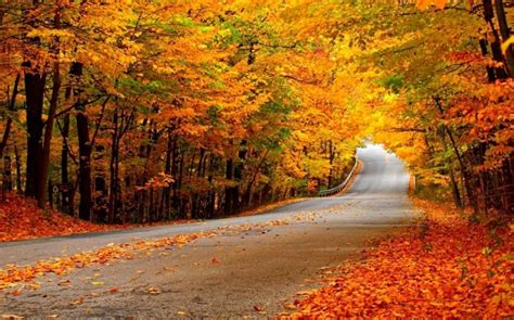 1001 + ideas de paisajes de otoño en 100 fotografías de ensueño | Paisaje de otoño, Paisaje ...