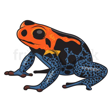 Poison Dart Frog Clip Art