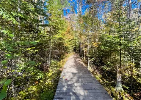 10 Best Hiking Trails in Algonquin Park for Families