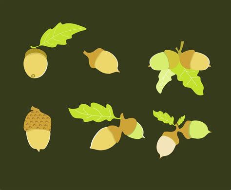 Acorn Illustration Vector Vector Art & Graphics | freevector.com