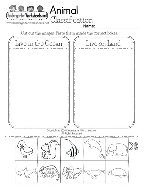 Free Printable Animal Classification Worksheet for Kindergarten | Animal classification, Animal ...