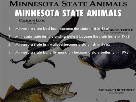 Minnesota State Syllables by Aaron Munoz