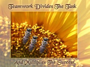 Safety Teamwork Quotes. QuotesGram
