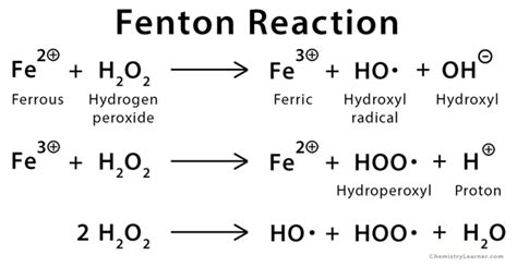 Fenton Reaction: Definition and Reagent