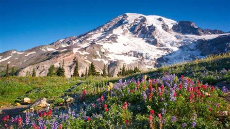 Mount Rainier National Park, Washington State | Explorer Sue - Your ...