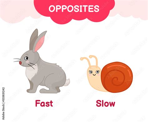 Vector learning material for kids opposites fast slow. Cartoon illustrations of fast hare and ...