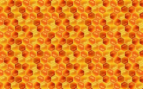 Download wallpapers honeycomb texture, 4k, food textures, honeycomb ...