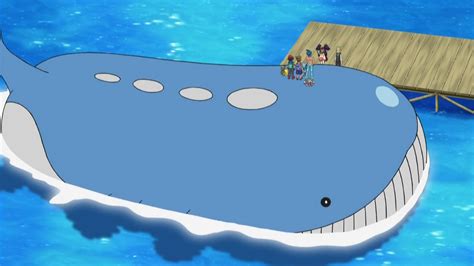 Wailord | PokéPédia | FANDOM powered by Wikia