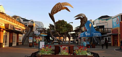 A Morning at Fisherman's Wharf and Pier 39 in San Francisco, USA ...