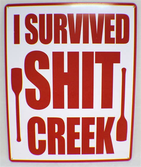 Tin Sign 12" X 15" New Funny Bar Metal Sign I Survived Sh*T Creek ...