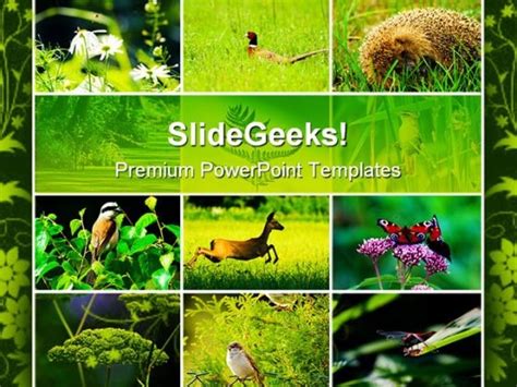 Wild Nature Animals PowerPoint Templates And PowerPoint Backgrounds ...