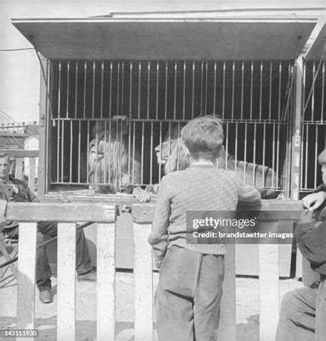 Circus Rebernigg Photos and Premium High Res Pictures - Getty Images