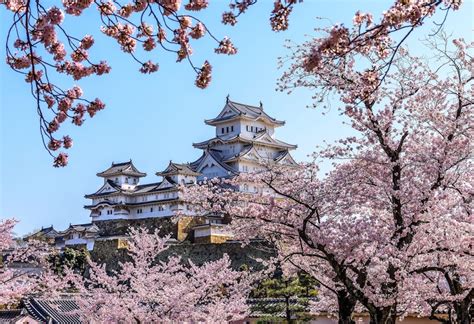 These Japanese Castles are Best for Sakura Viewing | JAPAN Forward