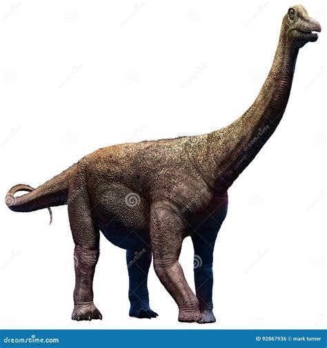 Saltasaurus Cartoons, Illustrations & Vector Stock Images - 15 Pictures to download from ...