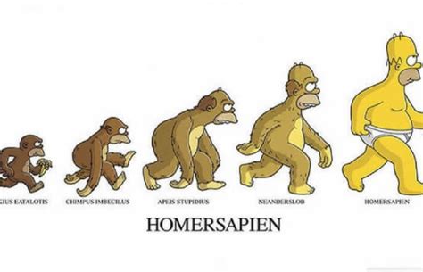 These Satirical Funny Evolution Cartoons Will Make You Question Human ...