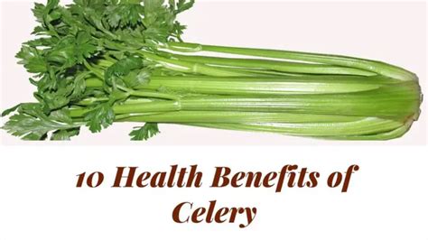 The 10 Health Benefits of Celery You Need to Know| Psyspeaks