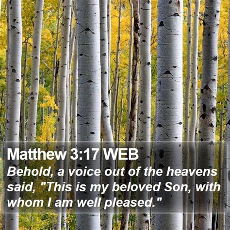 Matthew 3 Scripture Images - Matthew Chapter 3 WEB Bible Verse Pictures