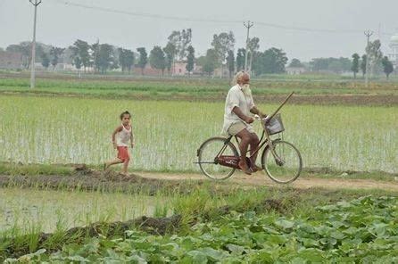 Village life - Punjab, India | Village life, Traditional sculptures ...