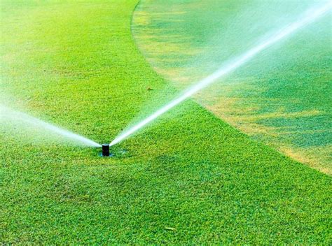 The Role of Irrigation in Golf Turf Management | DTE Golf®