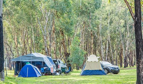 Camp Blackman | NSW National Parks