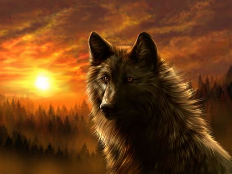 Animated Wolf Wallpaper - WallpaperSafari