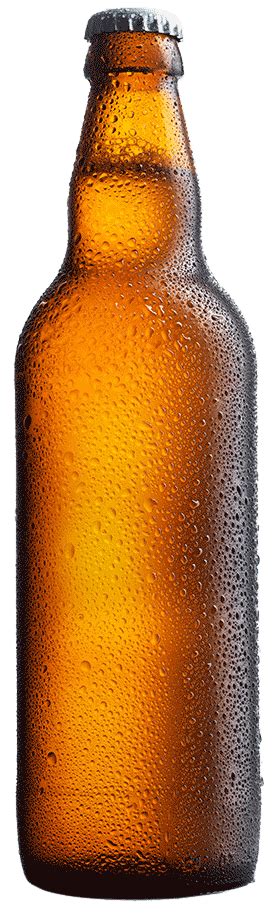 Beer bottle png, Beer bottle png Transparent FREE for download on WebStockReview 2024