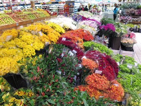 66 Square Feet (Plus): Supermarket flowers