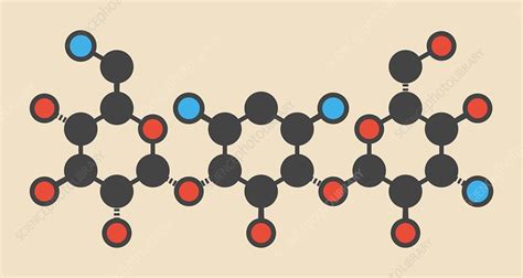 Kanamycin antibiotic drug molecule - Stock Image - F013/0471 - Science Photo Library