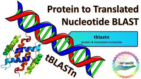 Protein to Translated Nucleotide BLAST : tBLASTn - YouTube