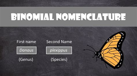 Carl Linnaeus, considered the father of taxonomy, came up with a nomenclature that enabled ...