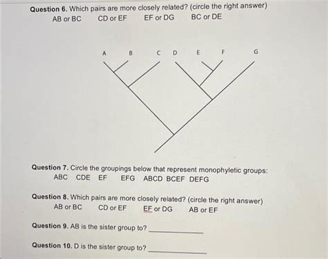 Solved Phylogeny and Cladistics Worksheet (These are the | Chegg.com