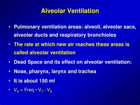 PPT - Pulmonary Ventilation PowerPoint Presentation, free download - ID:4561474