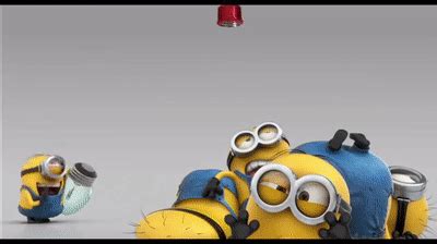 Congratulations - Happy Birthday Minions - Best Of ... on Make a GIF