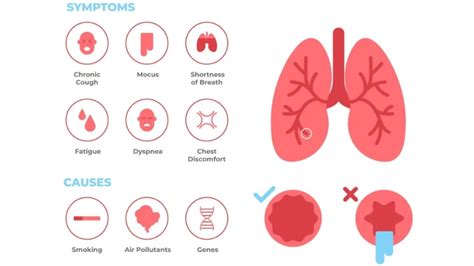 Asthma vs. COPD: How to Identify the Difference