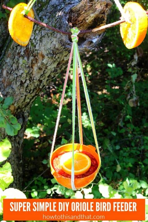 DIY Oriole Bird Feeder- EASY , FUN for Kids, BUDGET FRIENDLY in 2020 | Oriole bird feeders, Diy ...